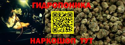 трава Моздок