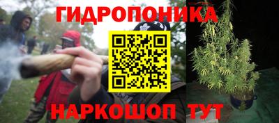 дурь Можга